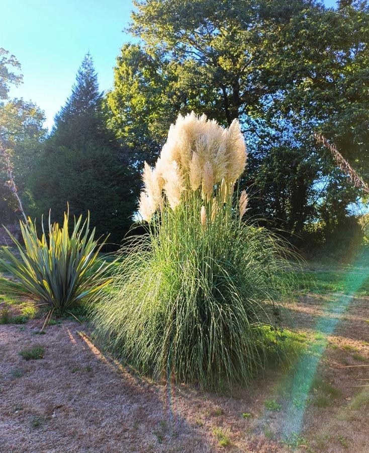 Domaine Minio Bihan Pluvigner エクステリア 写真